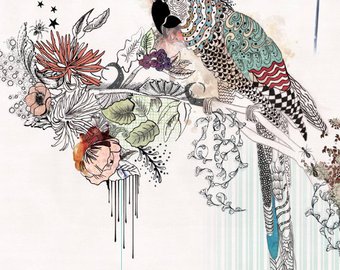 340x270 Bird Artwork Print Of Original Ink Drawing Watercolor - Pen And Ink And Watercolor Illustrations