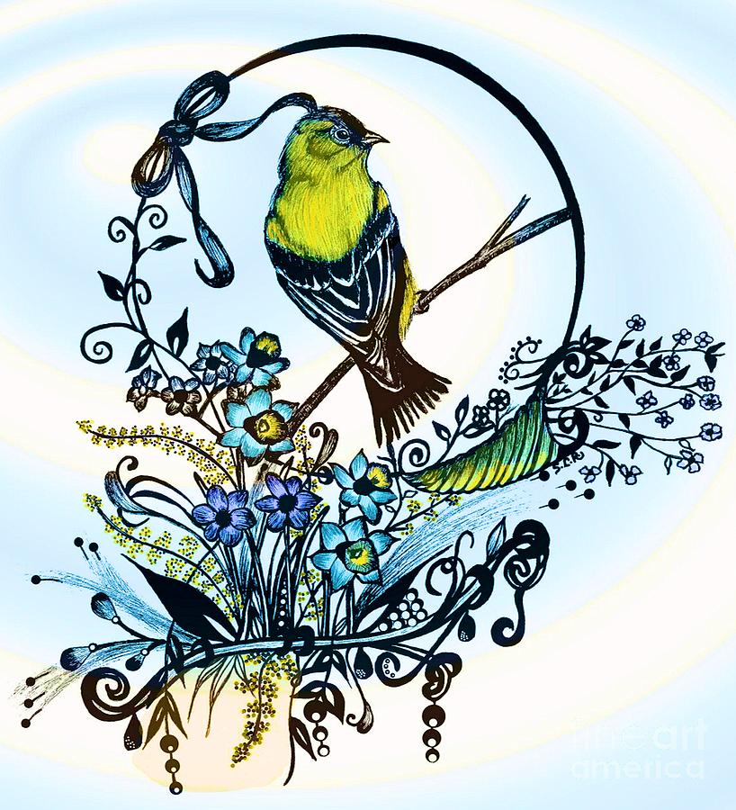 818x900 Pen And Ink Art, Colorful Goldfinch, Watercolor And Digital Art - Pen And Ink Drawings With Watercolor