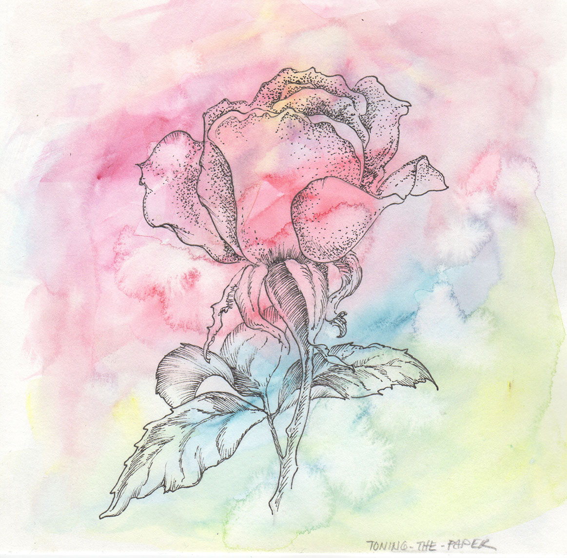 Pen And Ink Drawings With Watercolor at Explore