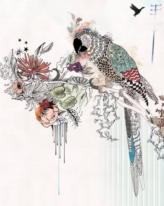 642x806 Watercolor Painting Bird Art 11x14 Print Original Pen Amp Ink Etsy - Pen And Ink Drawings With Watercolor