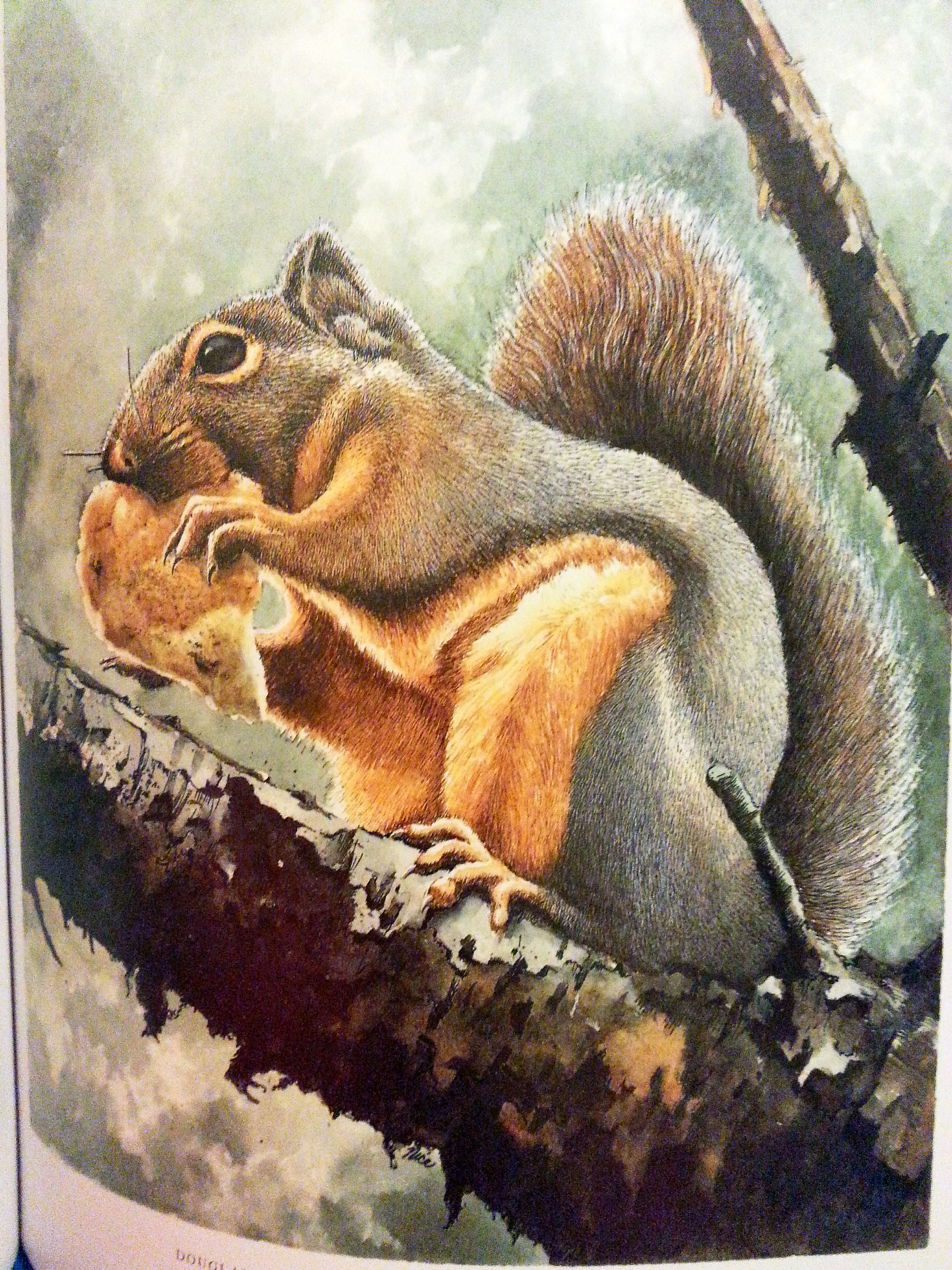 1469x1959 Painting With Watercolor Ink And Pen By Claudia Nice Book Addicts - Pen And Ink Watercolor