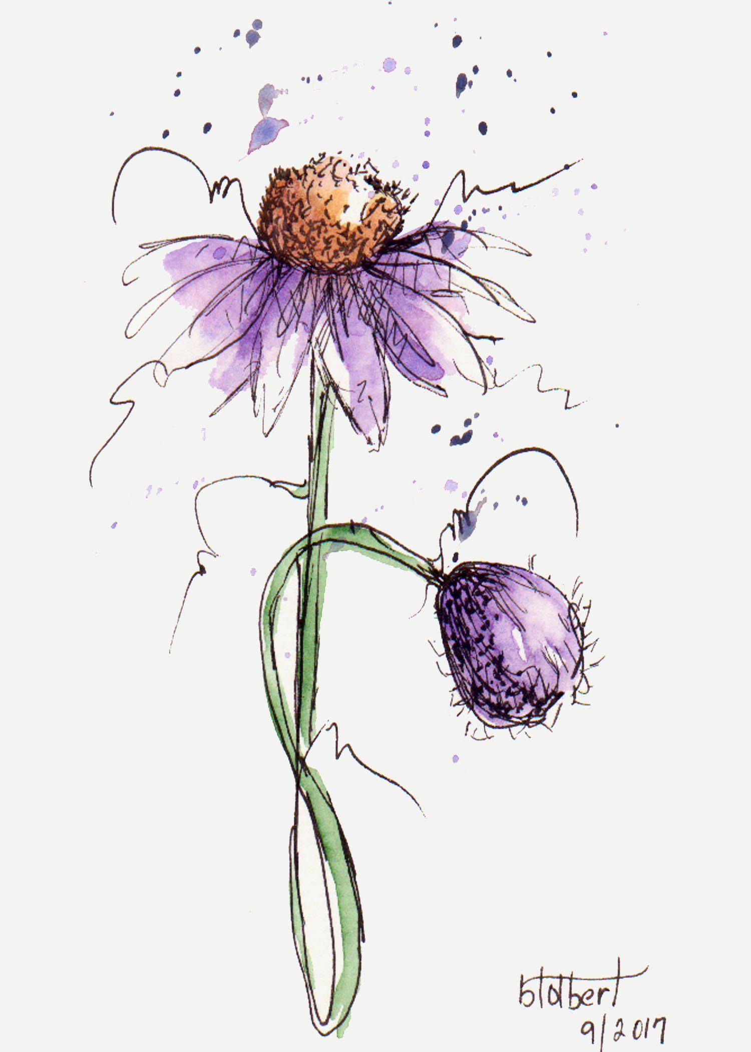 Pen And Ink Watercolor Flowers at PaintingValley.com | Explore ...