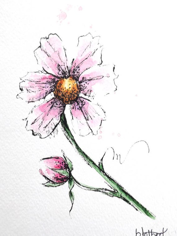 570x760 Pink Cosmos Flower Original Watercolor Art Painting Pen And Etsy - Pen And Ink Watercolor Flowers