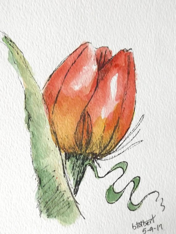 570x760 Tulip Flower Red Original Art Watercolor Painting Pen And Ink Etsy - Pen And Ink Watercolor Flowers