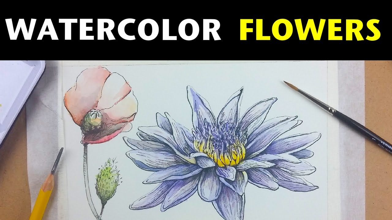1280x720 How To Draw And Paint Flowers With Watercolor Amp Ink - Pen And Ink Watercolor Flowers