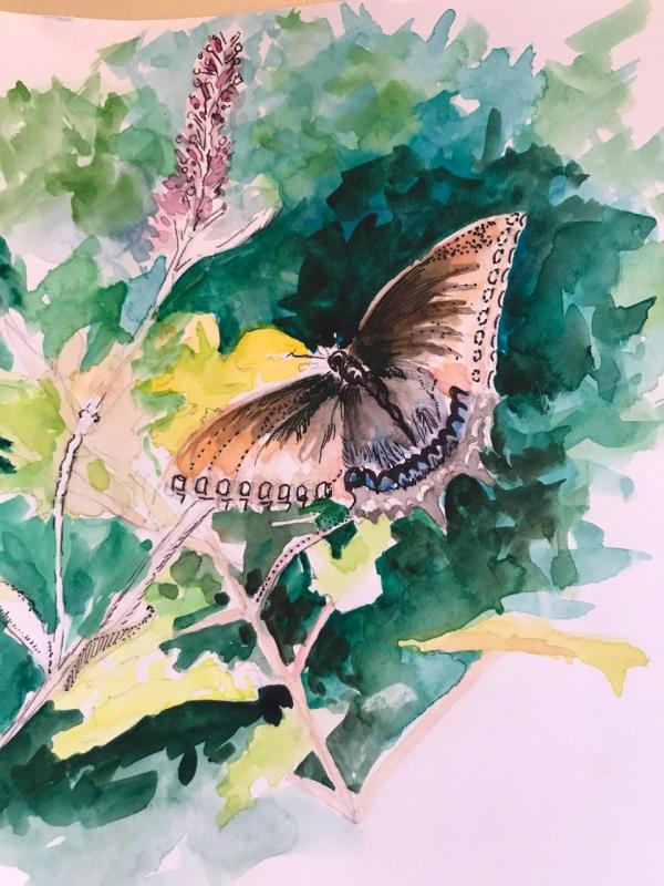 600x800 Pen And Ink Watercolor Miniatures Class Starts May 3 - Pen And Ink Watercolor Paintings