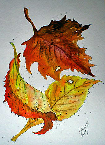 339x468 Art 3 Fall Leaves Watercolorpen And Ink Louise Christian - Pen And Ink Watercolor Paintings