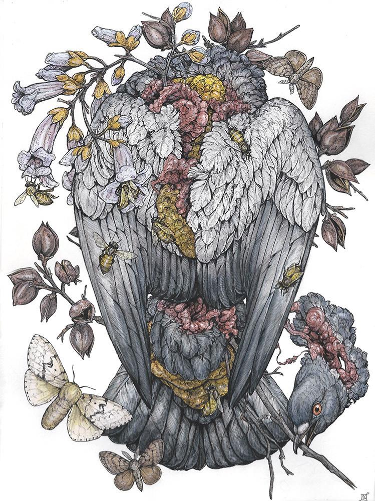 749x1000 Lauren Marx - Pen And Watercolor Illustration