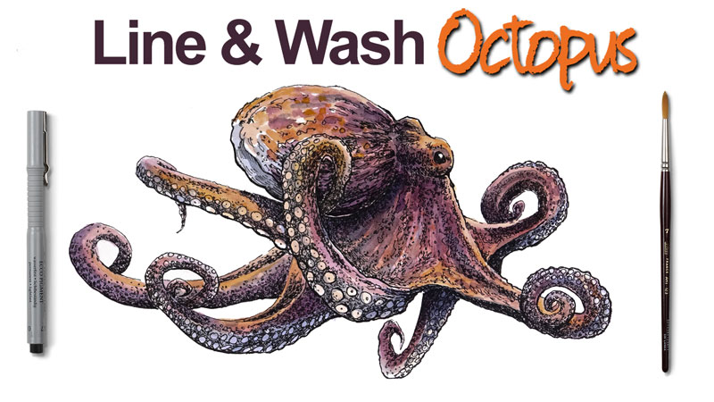 800x450 Line And Wash Lesson - Pen And Watercolor Illustration