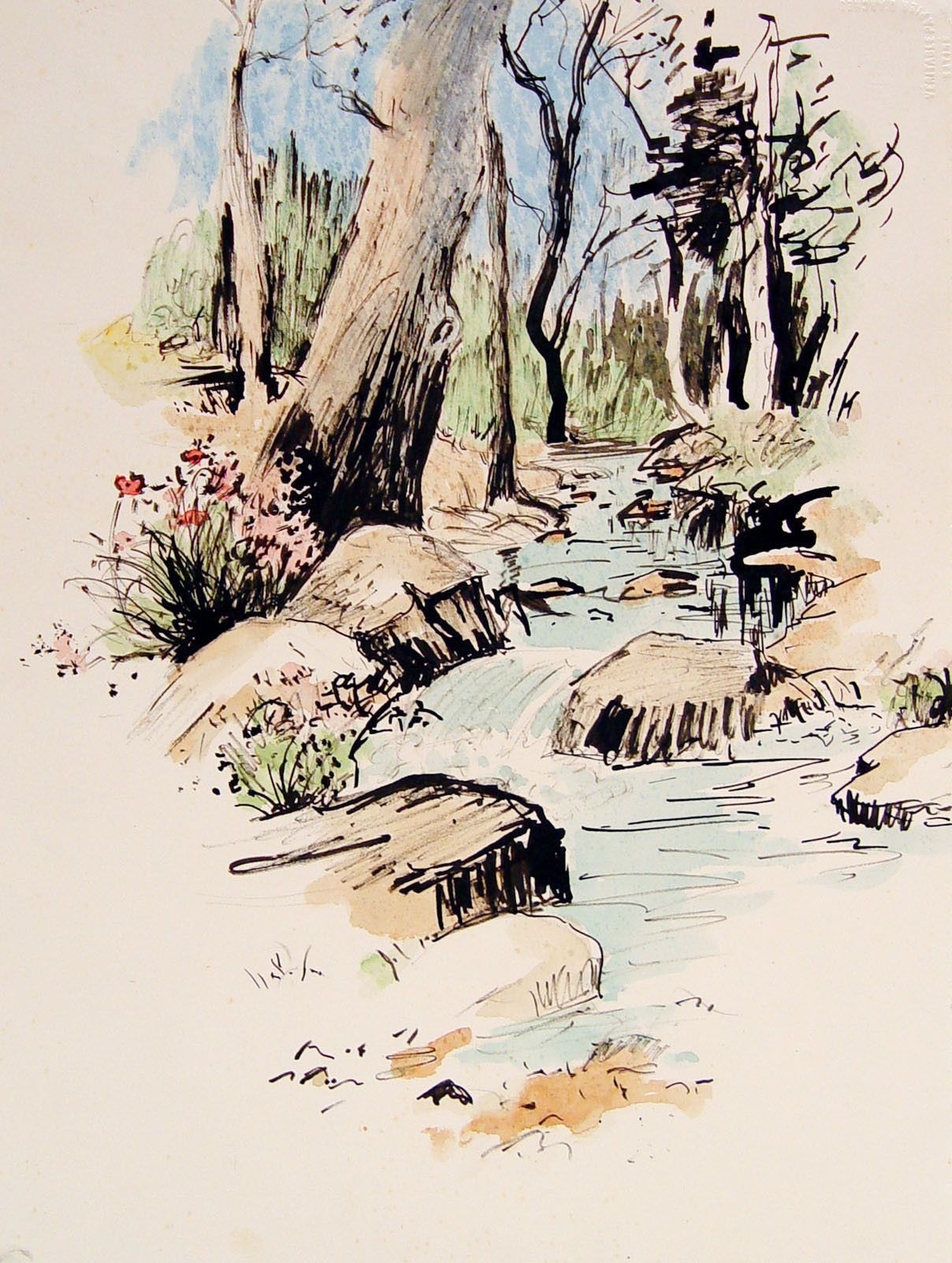 1208x1602 Pen And Ink With Watercolor Wash Of A Forest Stream, Circa 1970 - Pen And Watercolor Illustration