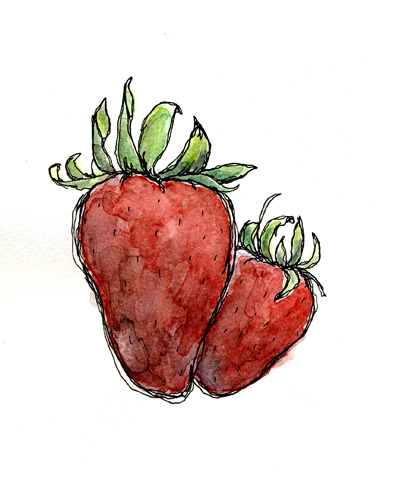396x500 Strawberries Pen And Ink With Watercolor Illustration - Pen And Watercolor Illustration