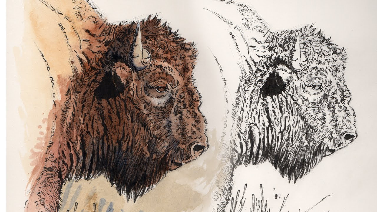 1280x720 Pen And Ink Drawings With Watercolor - Pen Ink Watercolor Sketching