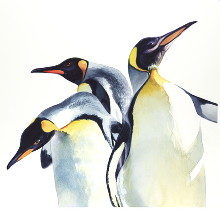 435x415 Penguin Trio Wildlife Watercolor, Paul Jackson This - Penguin Watercolor
