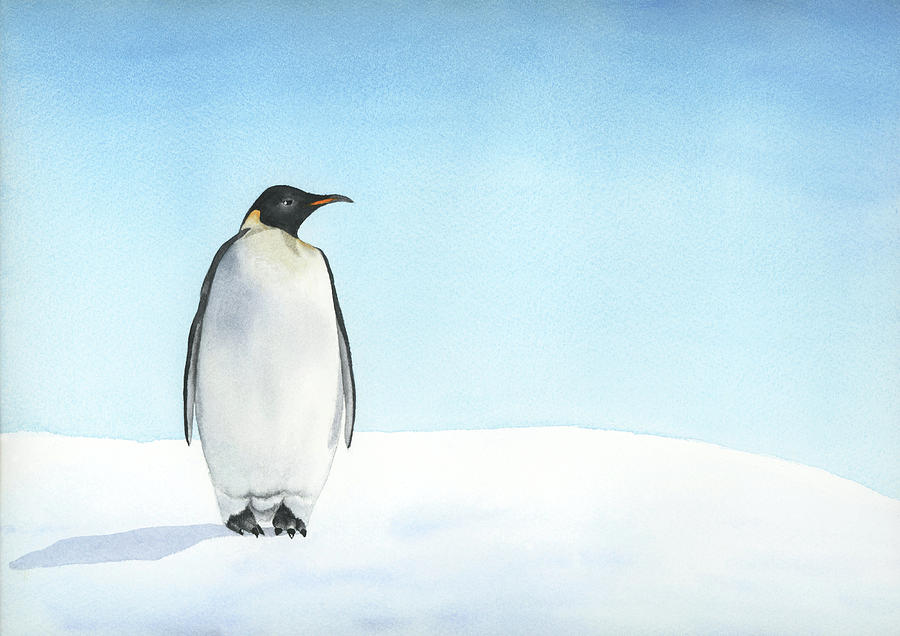 900x636 Penguin Watercolor Painting By Zapista - Penguin Watercolor