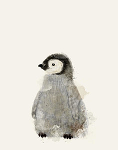 236x300 Penguin Watercolor Paintings Fine Art America - Penguin Watercolor