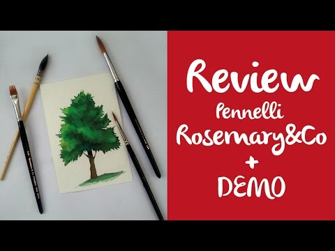 480x360 Pennelli - Pennelli Watercolor Set