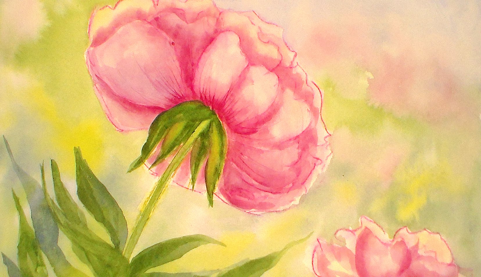 1656x954 How To Paint A Peony Flower In Watercolors {Easy Tutorial} - Peony Flower Watercolor