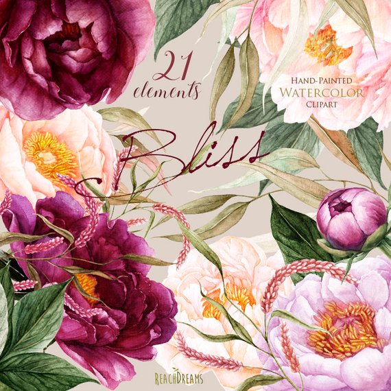 570x570 Peonies Flowers Watercolor Floral Elements Burgundy Violet Etsy - Peony Flower Watercolor