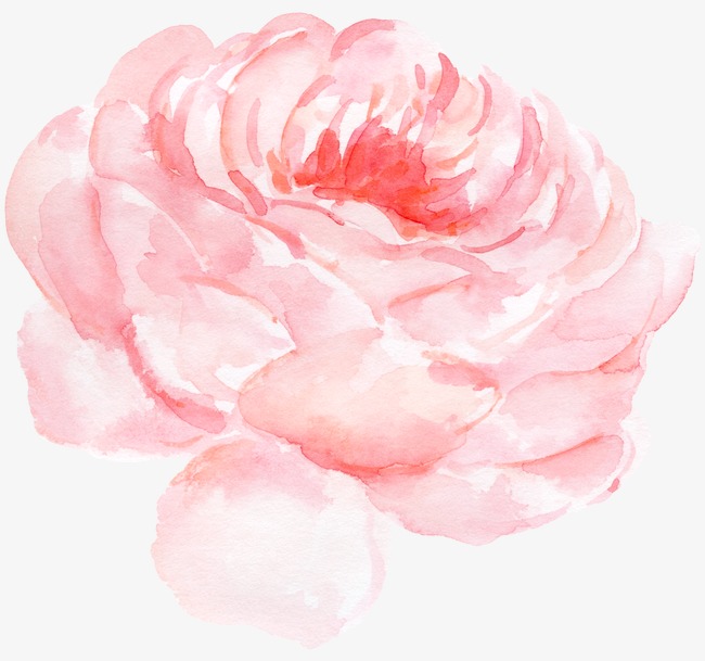650x609 Peony Flower Watercolor Pattern, Flower Clipart, Watercolor - Peony Flower Watercolor