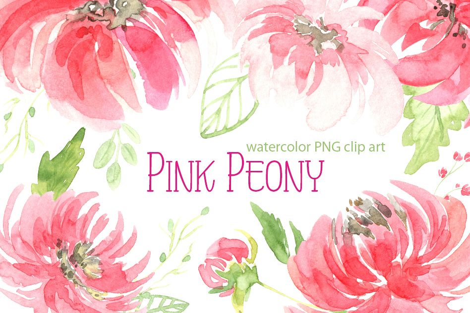948x632 Watercolor Peony Flowers Leaves Png - Peony Flower Watercolor