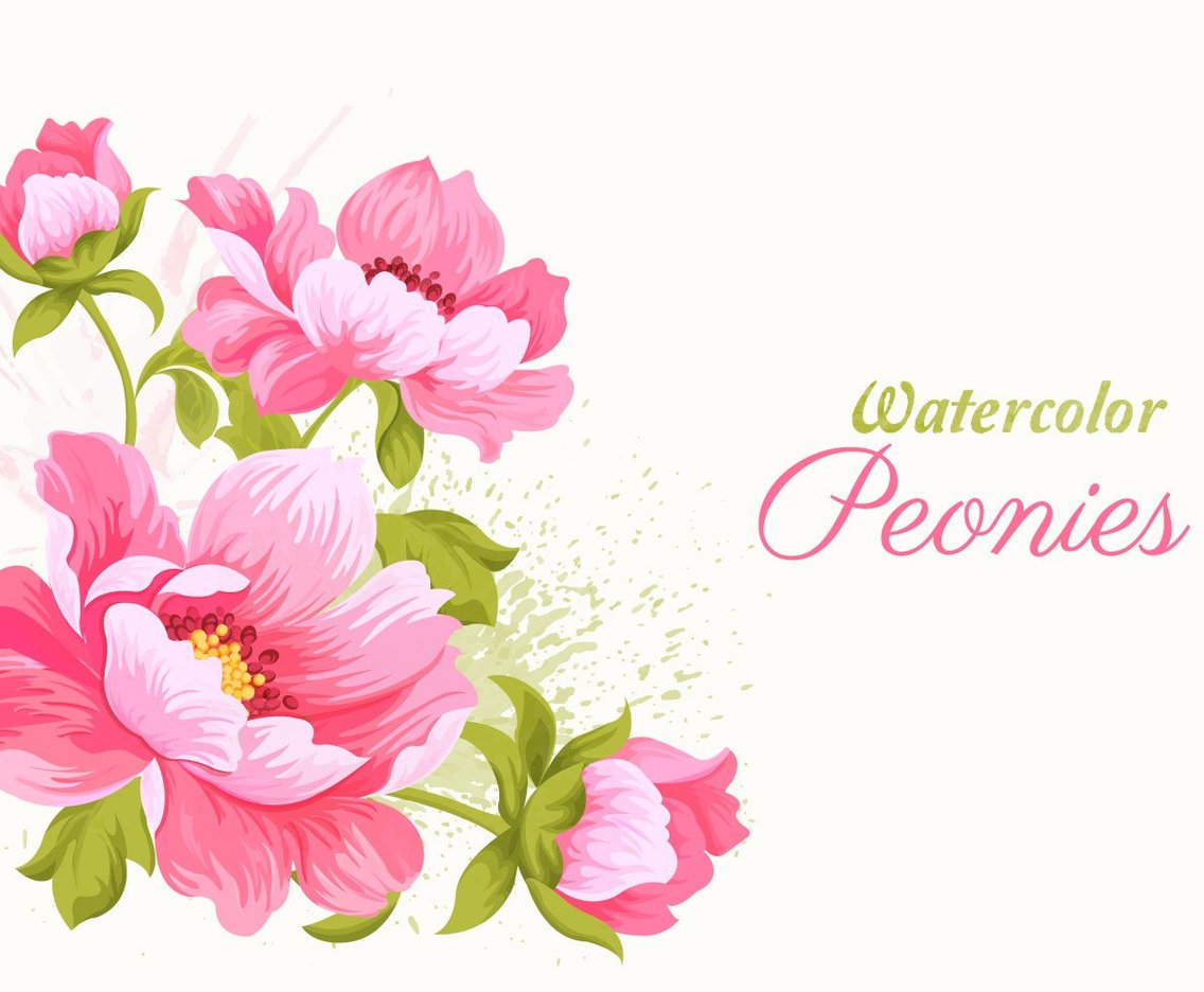 1136x936 Pink Watercolor Peonies Vector Illustration Vector Art Amp Graphics - Peony Watercolor