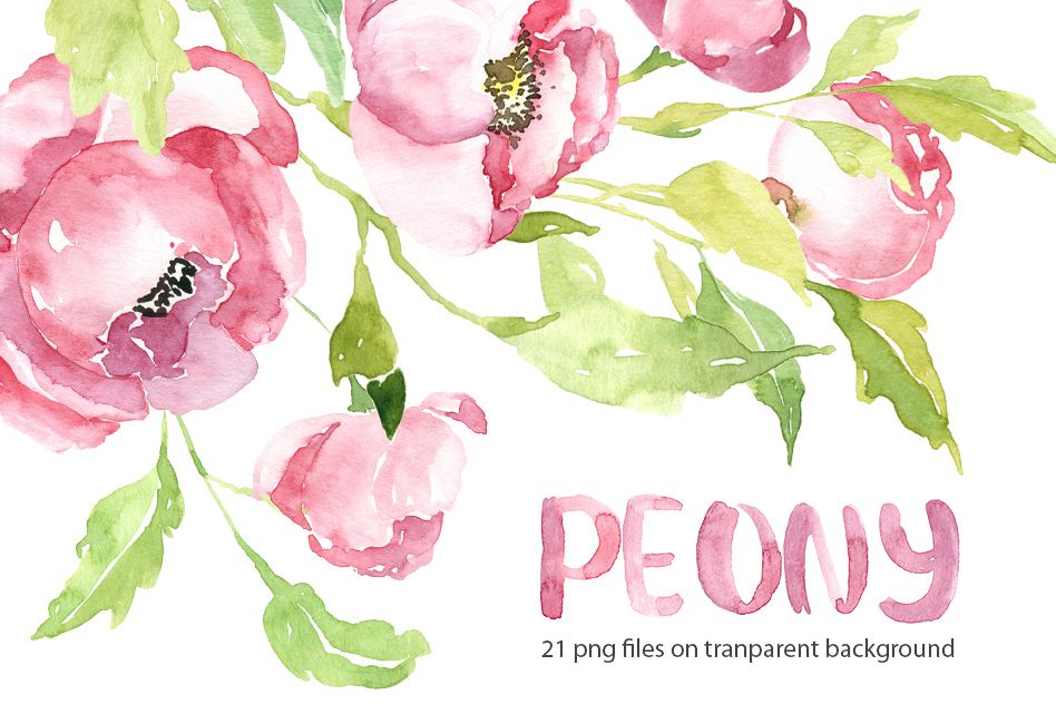 948x632 Pink Watercolor Peony Png Collection - Peony Watercolor