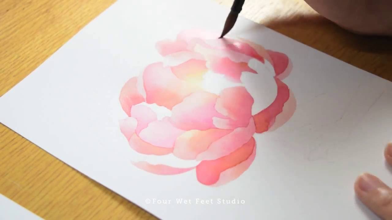1280x720 Watercolor Peony Painting Process - Peony Watercolor
