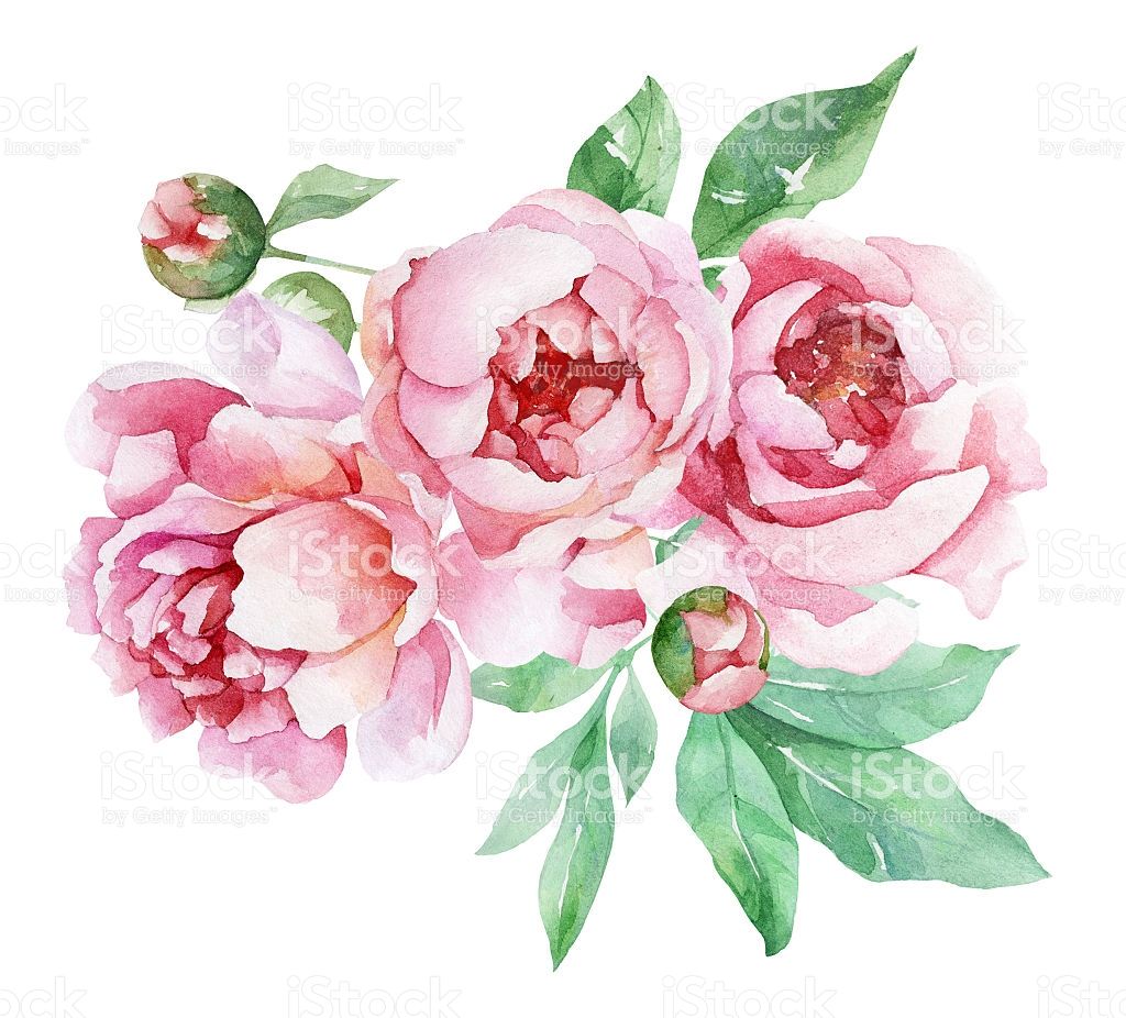 1024x926 Watercolor Peonies Invitations Pink Watercolor - Peony Watercolor