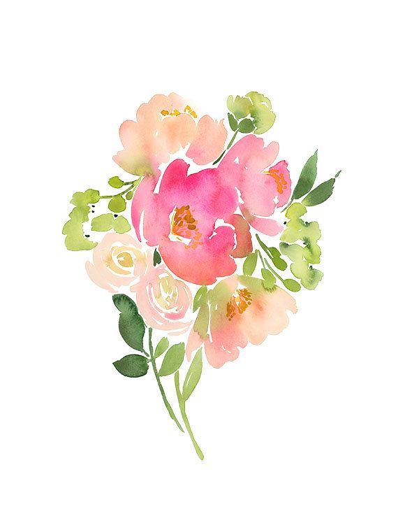 570x738 Peonies Watercolor - Peony Watercolor