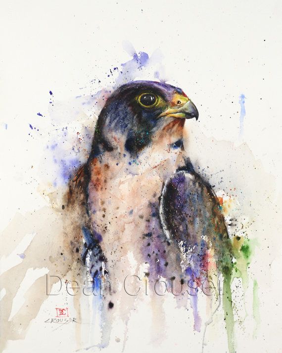 570x713 Peregrine Falcon Watercolor Print By Dean Crouser Tattoos - Peregrine Falcon Watercolor