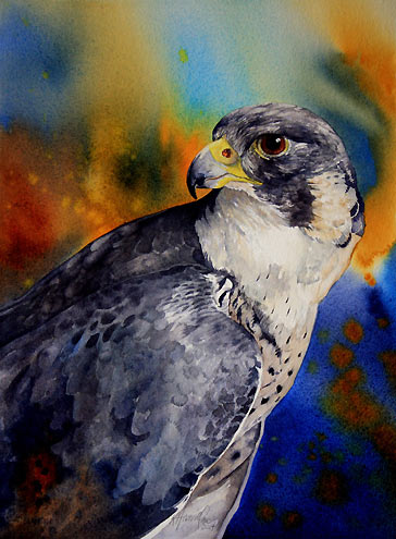 364x495 Peregrine Falcon Bird Art By Bird Artist Kitty Harvill - Peregrine Falcon Watercolor