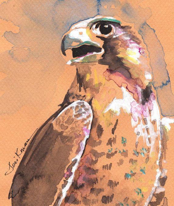 570x676 Peregrine Falcon Watercolor Print, Artist Signed Birds - Peregrine Falcon Watercolor