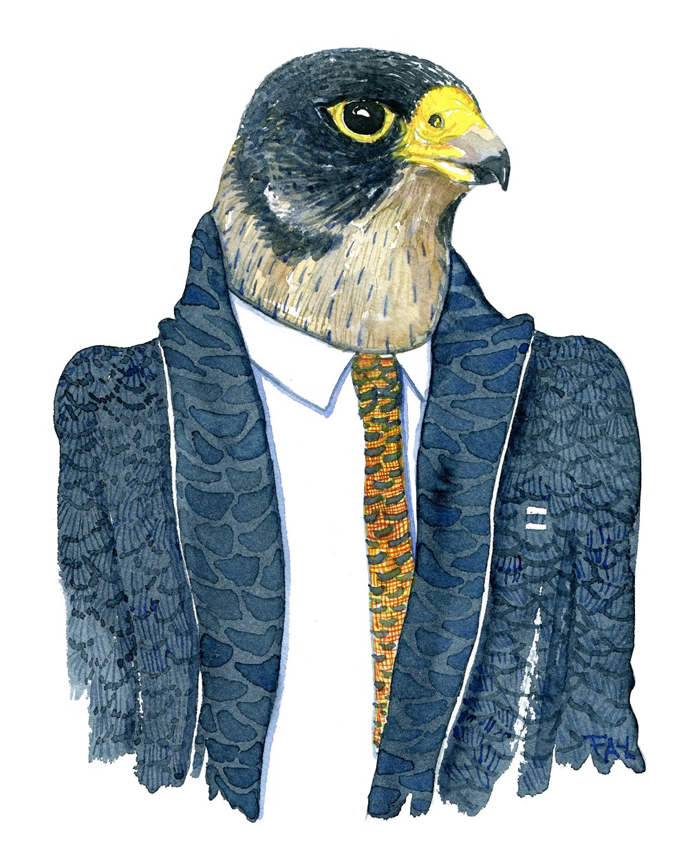 1000x1250 Peregrine Falcon In Suit Watercolor Frits Ahlefeldt - Peregrine Falcon Watercolor