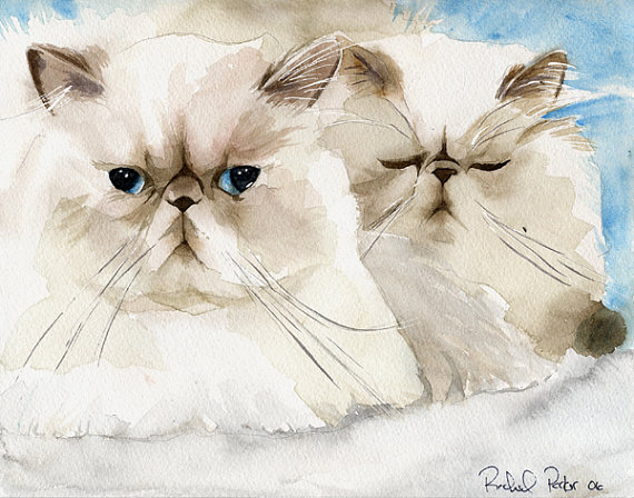 570x448 Persian Cat Art Print Of My Watercolor Painting Huge Big Gift For - Persian Watercolor