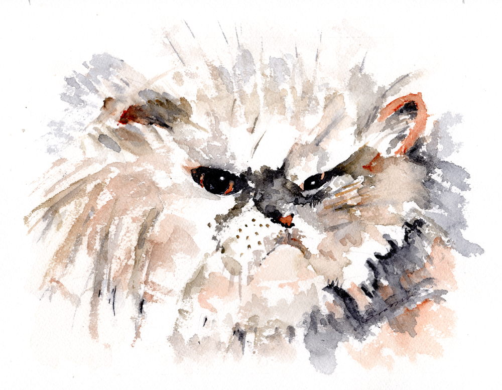 1000x777 Persian Cat Watercolor Painting - Persian Watercolor