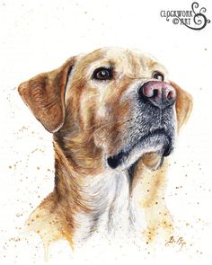 Pet Watercolor
