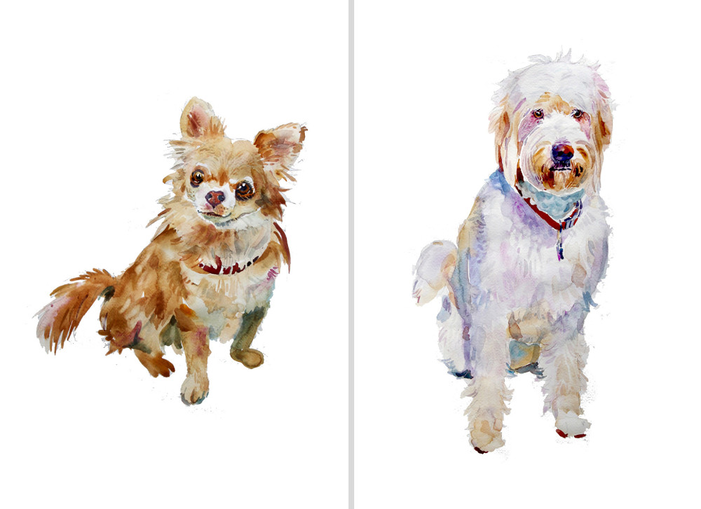 1000x727 Custom Watercolor Pet Portraits And Dog Illustrations - Pet Watercolor