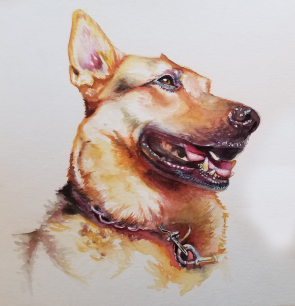 600x622 Gage Academy Of Art Seattle, Wa Pet Portraits In Watercolor - Pet Watercolor