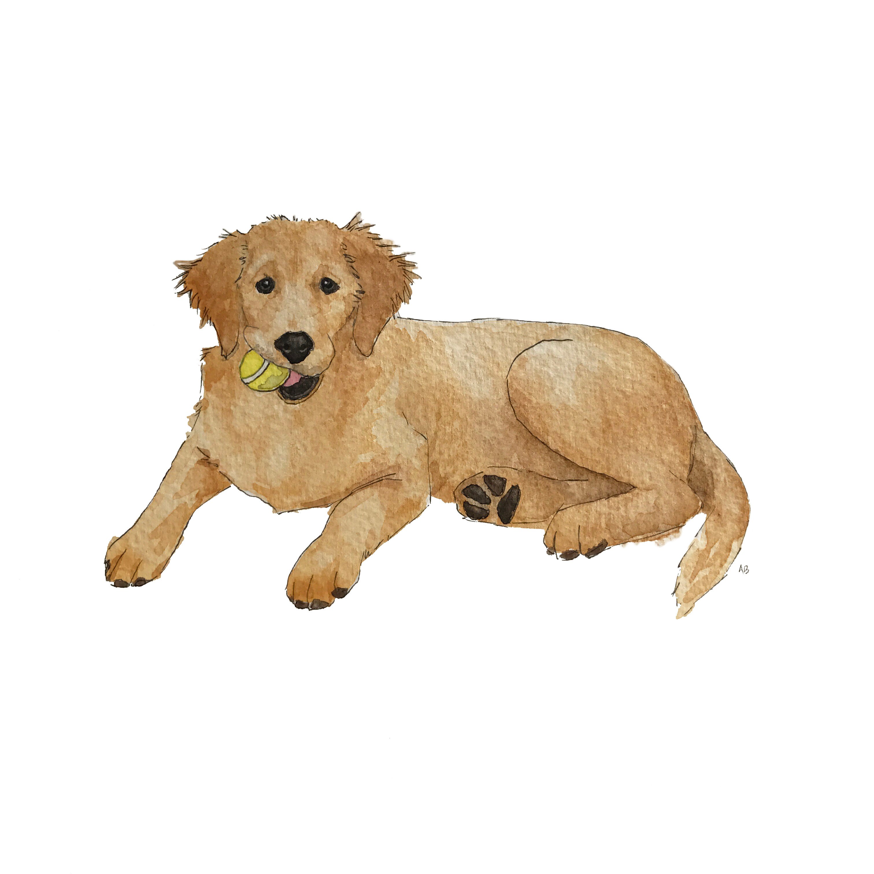 3024x3024 Original Custom Watercolor Painting Pet Abe Design Co. - Pet Watercolor