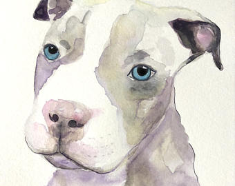 340x270 Pet Watercolor Etsy - Pet Watercolor