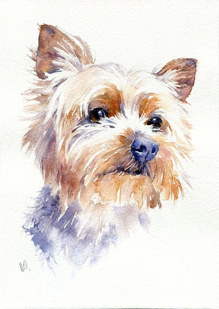 710x1000 Original Watercolour Pet Painting - Pet Watercolor