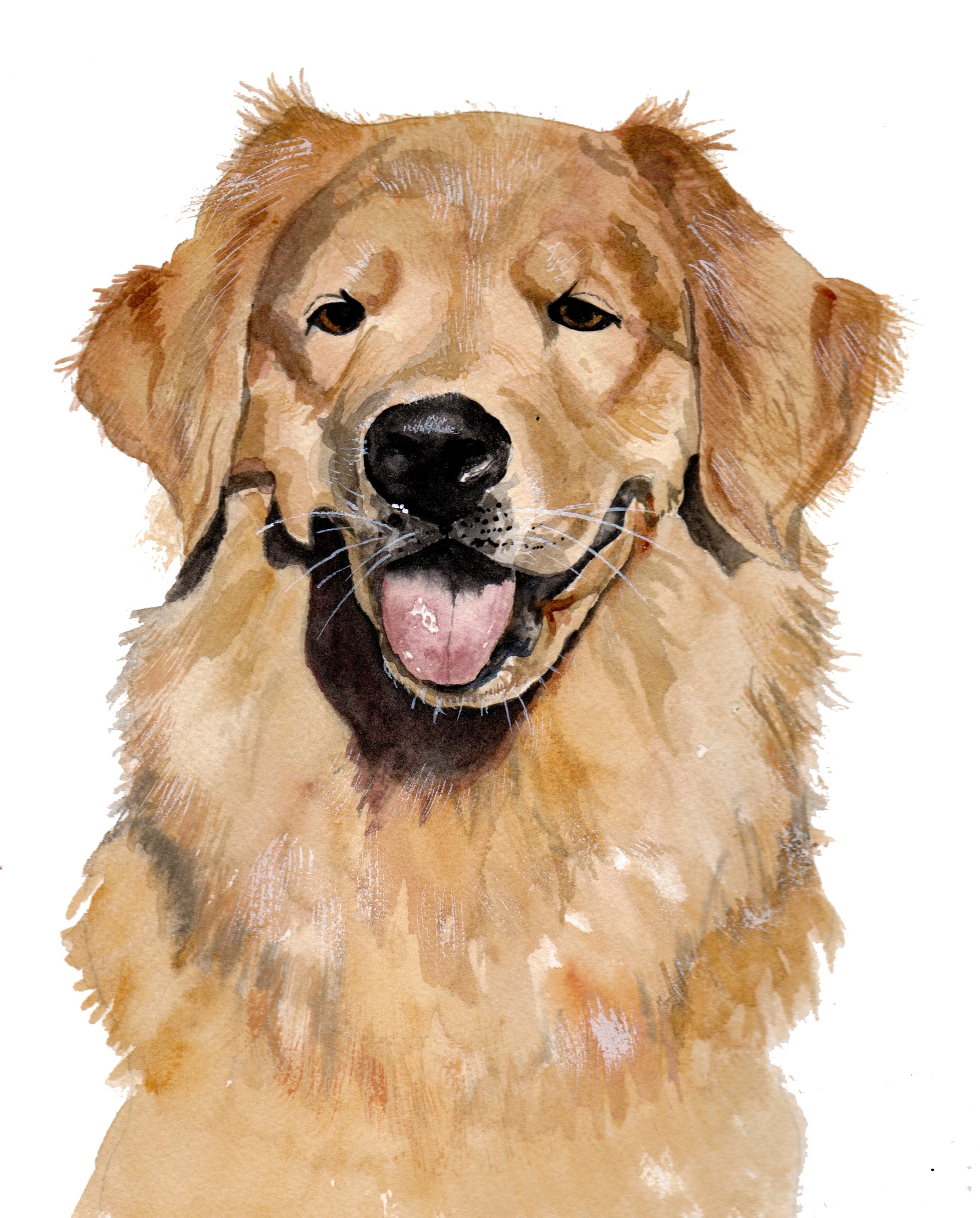 2048x2545 Custom Watercolor Pet Portrait - Pet Watercolor