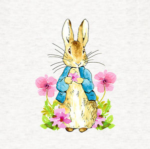 300x297 Peter Rabbit Flowers Fabric Cushion Upholstery Craft Panel 8x8 - Peter Rabbit Watercolor