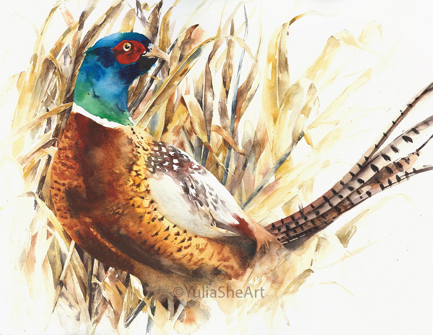 1500x1160 Original Watercolor Painting Pheasant The Game Bird Home Decor - Pheasant Watercolor