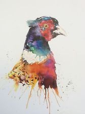 168x225 78 Best Birds - Pheasant Watercolor