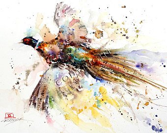 340x270 Pheasant Watercolor Etsy - Pheasant Watercolor