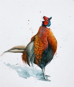 236x279 Watercolour Pheasant Game Bird ,animal Art, Wildlife Print By - Pheasant Watercolor