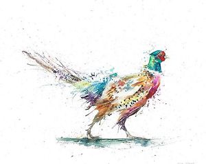 300x238 Collectable A4 Giclee Art Print Watercolour Pheasant Game Wildlife - Pheasant Watercolor