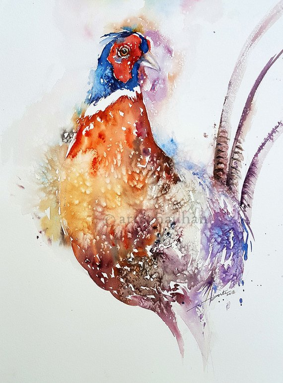 570x771 Colorful Pheasant Bird Art Watercolor Painting Original Art Etsy - Pheasant Watercolor