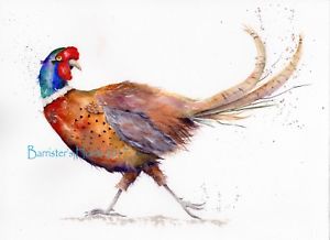 300x218 Flirty Pheasant Watercolour Fine Artgiclee Print, Wall Art - Pheasant Watercolor
